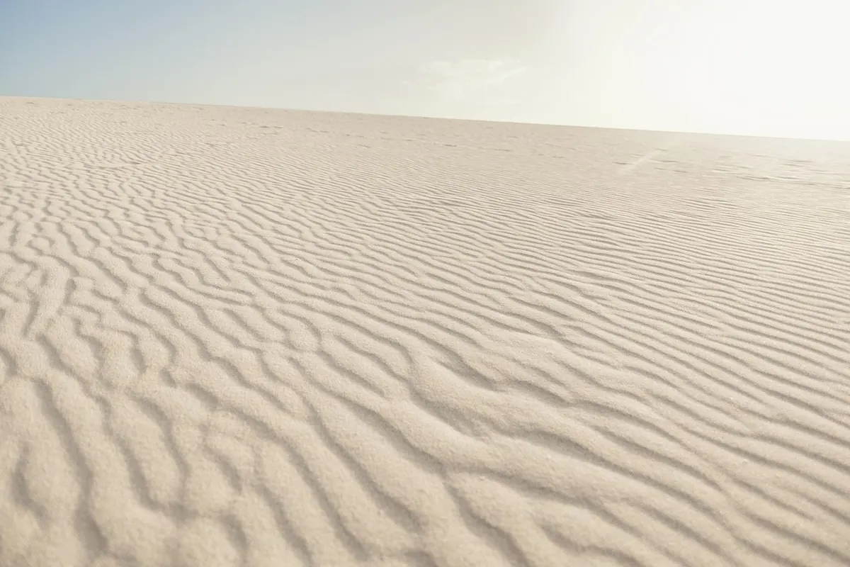 Desert Dunes vs Coastal Dunes: Key Ecological Differences